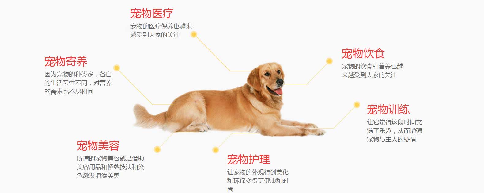 GG扑克 GGPoker中文旗舰站 官方APP下载